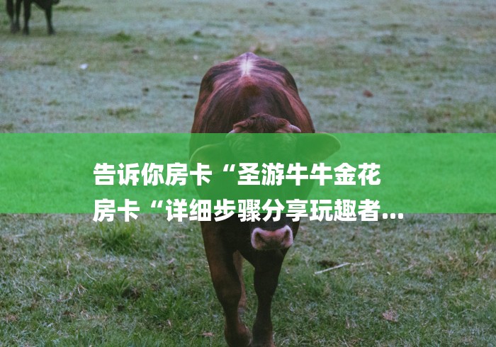 告诉你房卡“圣游牛牛金花
房卡“详细步骤分享玩趣者... 告诉你房卡“圣游牛牛金花
房卡“详细步骤分享玩趣者...