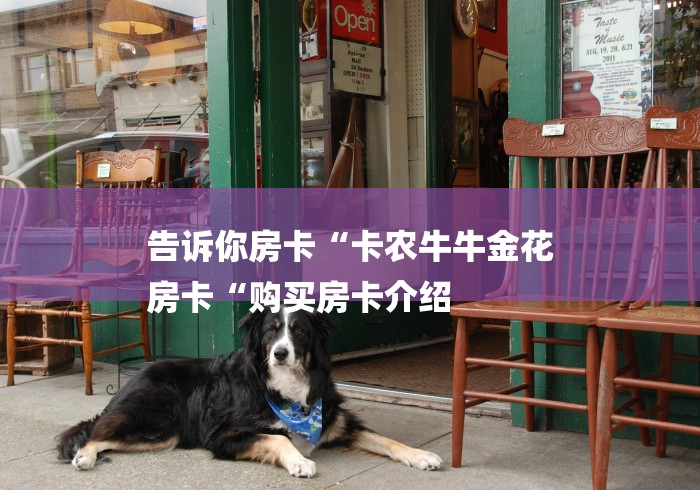 告诉你房卡“卡农牛牛金花
房卡“购买房卡介绍