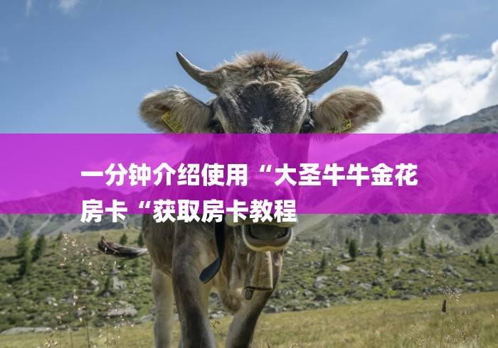 一分钟介绍使用“大圣牛牛金花
房卡“获取房卡教程 一分钟介绍使用“大圣牛牛金花
房卡“获取房卡教程