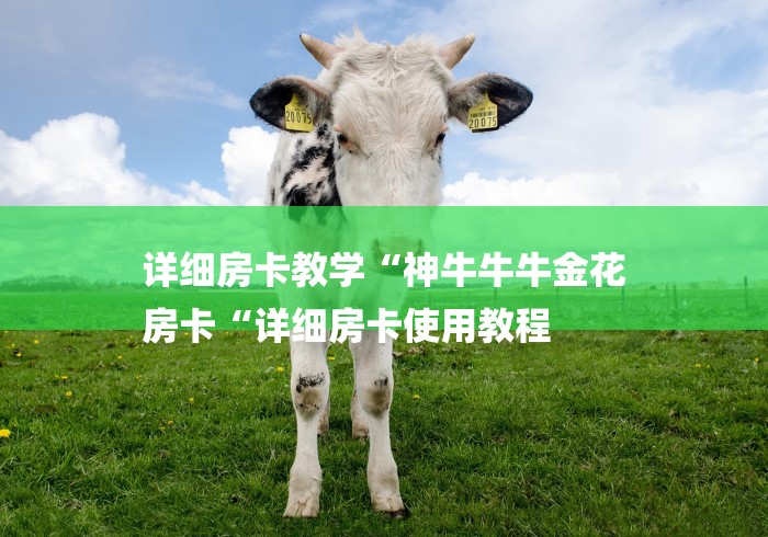 详细房卡教学“神牛牛牛金花
房卡“详细房卡使用教程 详细房卡教学“神牛牛牛金花
房卡“详细房卡使用教程