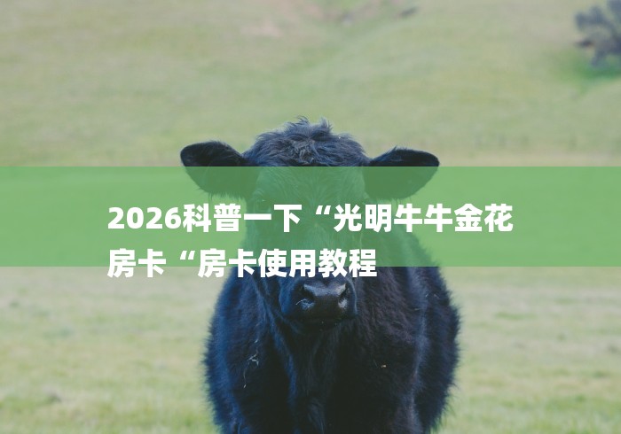 2026科普一下“光明牛牛金花
房卡“房卡使用教程 2026科普一下“光明牛牛金花
房卡“房卡使用教程