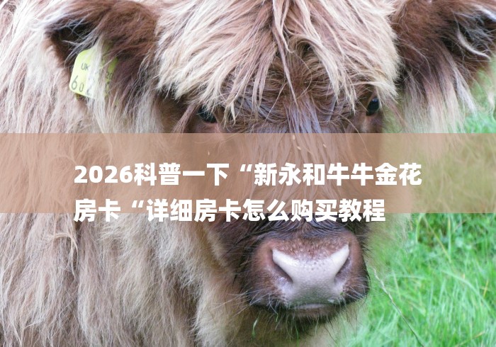 2026科普一下“新永和牛牛金花
房卡“详细房卡怎么购买教程 2026科普一下“新永和牛牛金花
房卡“详细房卡怎么购买教程