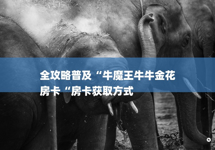 全攻略普及“牛魔王牛牛金花
房卡“房卡获取方式