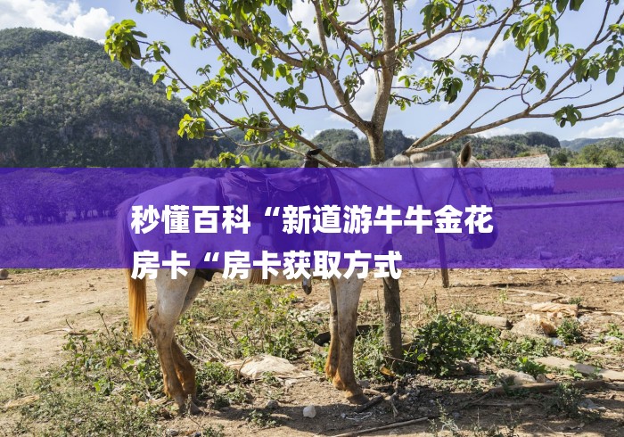 秒懂百科“新道游牛牛金花
房卡“房卡获取方式 秒懂百科“新道游牛牛金花
房卡“房卡获取方式