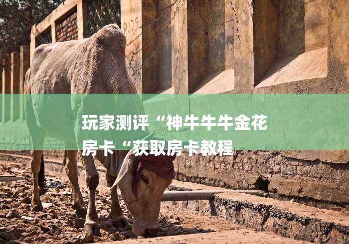 玩家测评“神牛牛牛金花
房卡“获取房卡教程