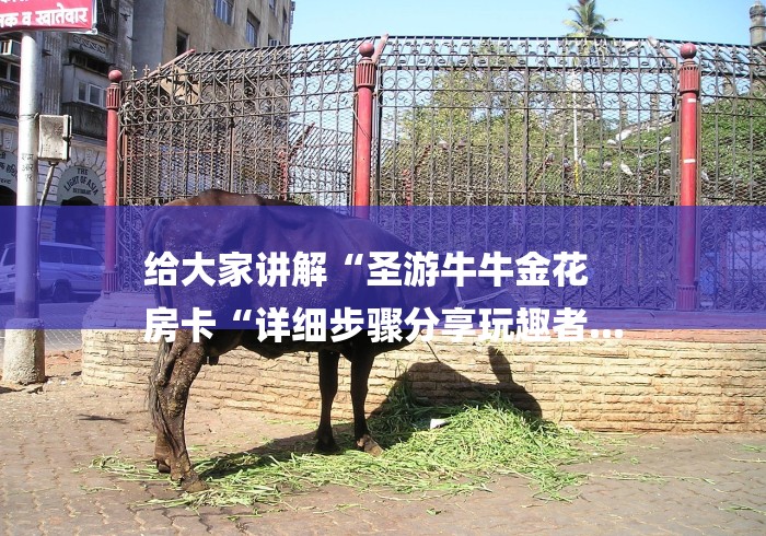 给大家讲解“圣游牛牛金花
房卡“详细步骤分享玩趣者...