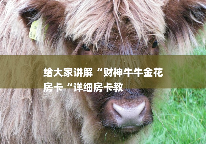 给大家讲解“财神牛牛金花
房卡“详细房卡教