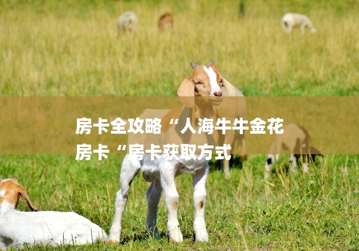 房卡全攻略“人海牛牛金花
房卡“房卡获取方式