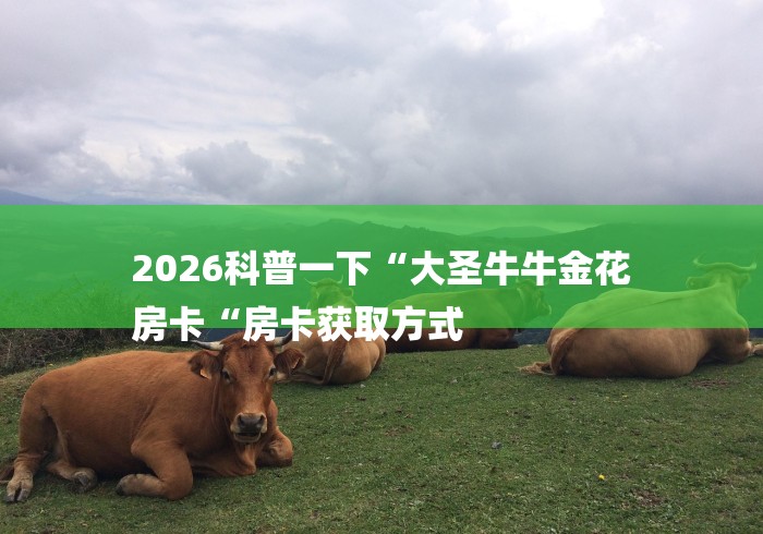 2026科普一下“大圣牛牛金花
房卡“房卡获取方式 