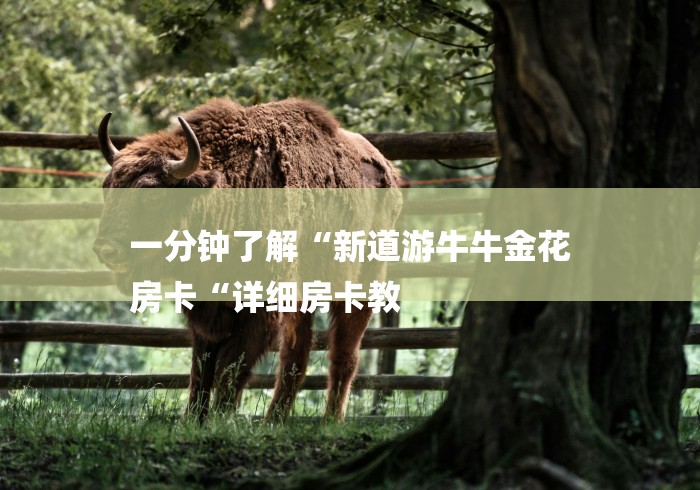 一分钟了解“新道游牛牛金花
房卡“详细房卡教