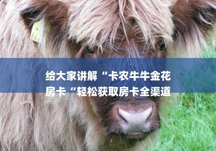给大家讲解“卡农牛牛金花
房卡“轻松获取房卡全渠道 给大家讲解“卡农牛牛金花
房卡“轻松获取房卡全渠道