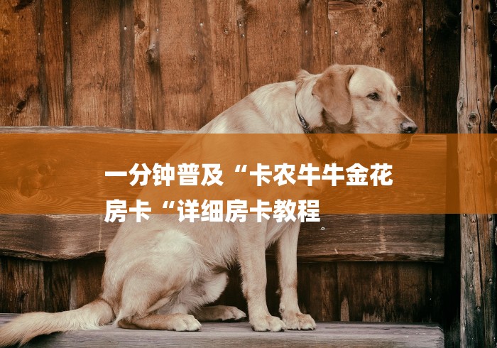 一分钟普及“卡农牛牛金花
房卡“详细房卡教程 一分钟普及“卡农牛牛金花
房卡“详细房卡教程