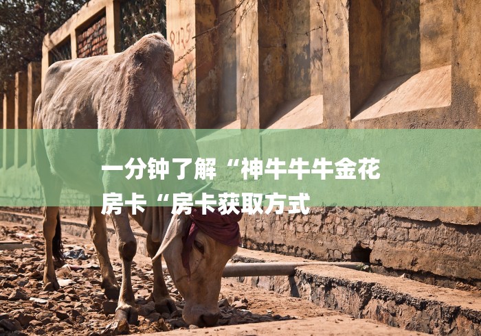 一分钟了解“神牛牛牛金花
房卡“房卡获取方式 一分钟了解“神牛牛牛金花
房卡“房卡获取方式